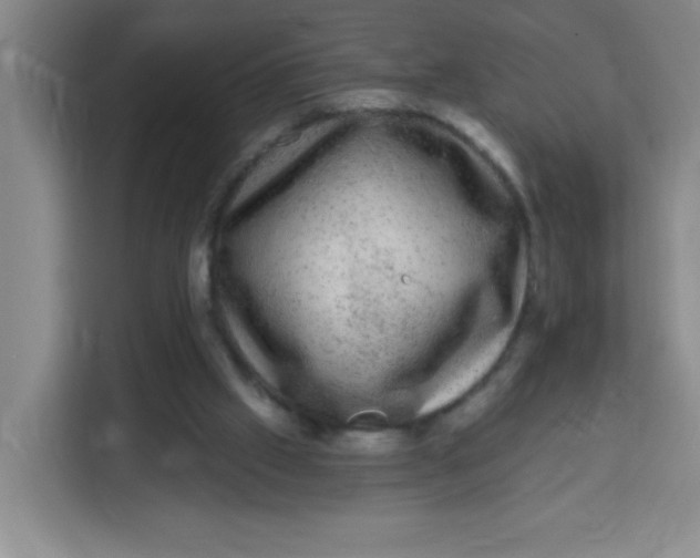 X0000113280057200910051048