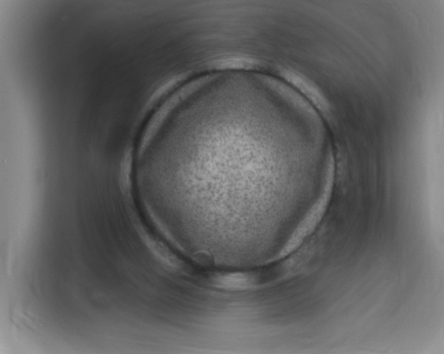 X0000113280058200910051048