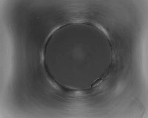 X0000113280059200910051048