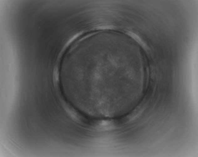 X0000113280060200910051048