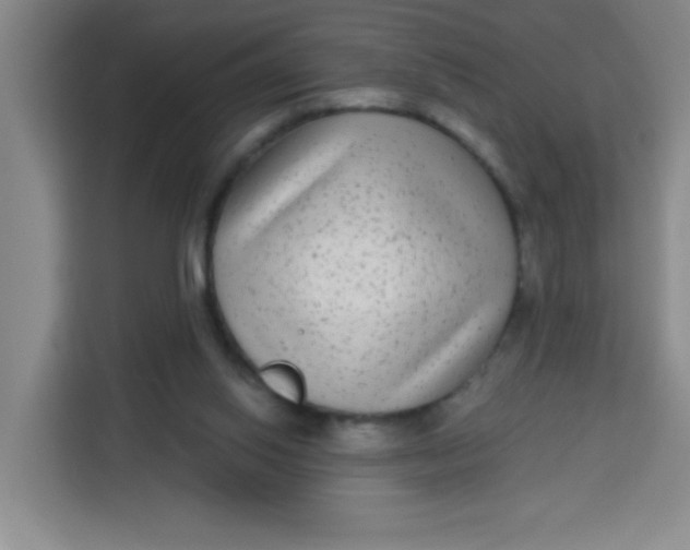 X0000113280062200910051048