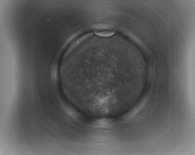 X0000113280064200910051048