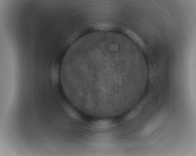 X0000113280065200910051048