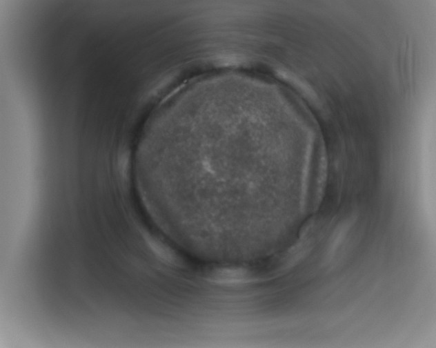 X0000113280066200910051048