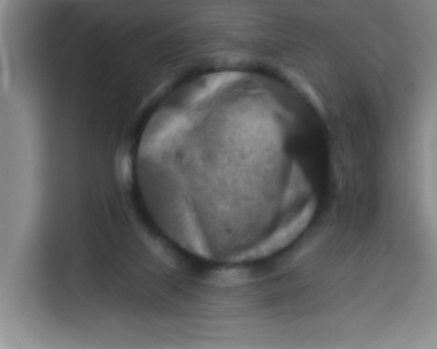 X0000113280067200910051049