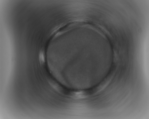 X0000113280068200910051049