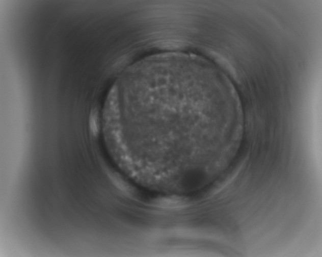 X0000113280069200910051049