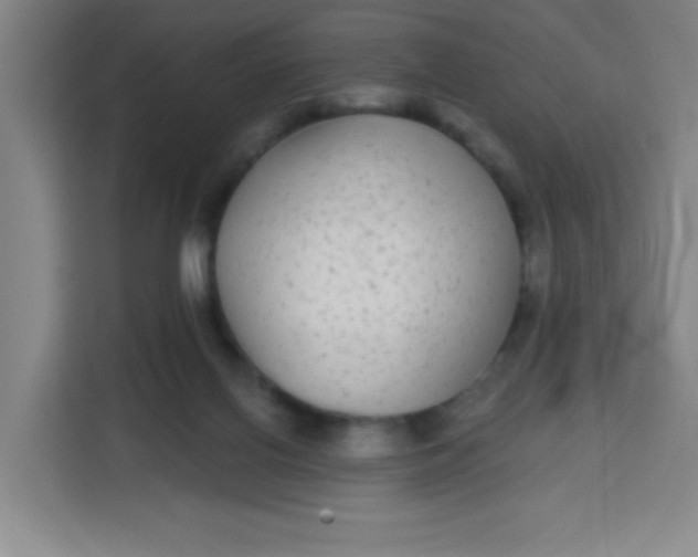 X0000113280070200910051049