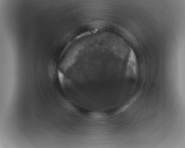 X0000113280073200910051049