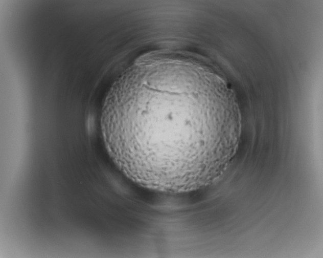 X0000113280074200910051049