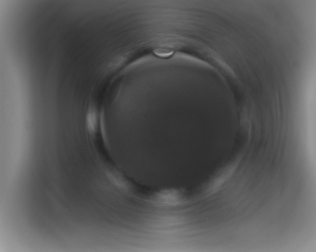 X0000113280076200910051049