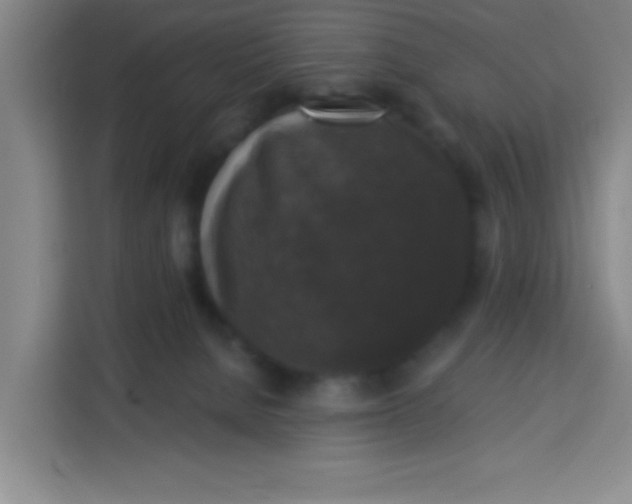 X0000113280080200910051049