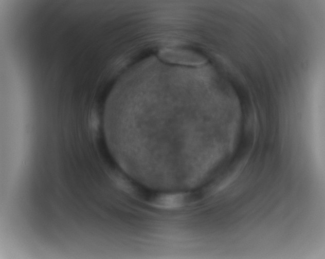 X0000113280084200910051049