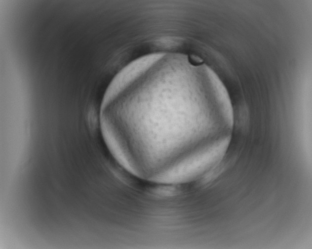 X0000113280086200910051049