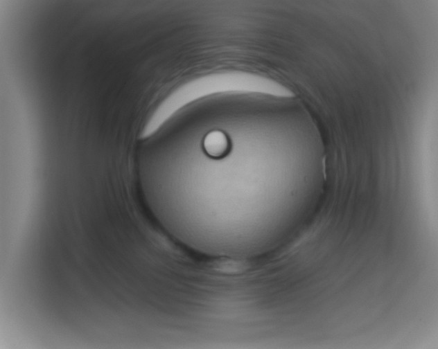 X0000113280088200910051049