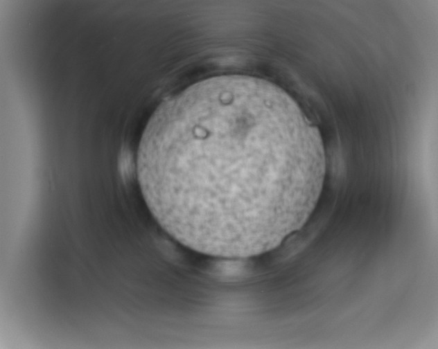 X0000113280089200910051049