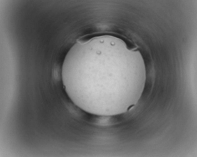 X0000113280090200910051049