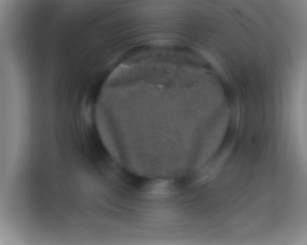 X0000113280093200910051049