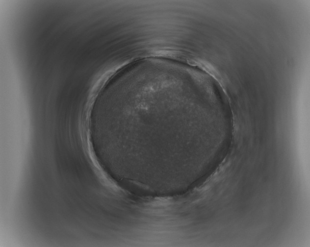 X0000113280097200910051048