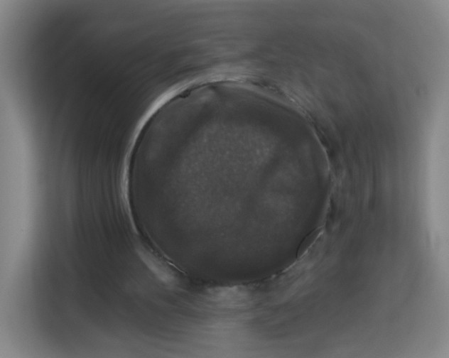 X0000113280100200910051048