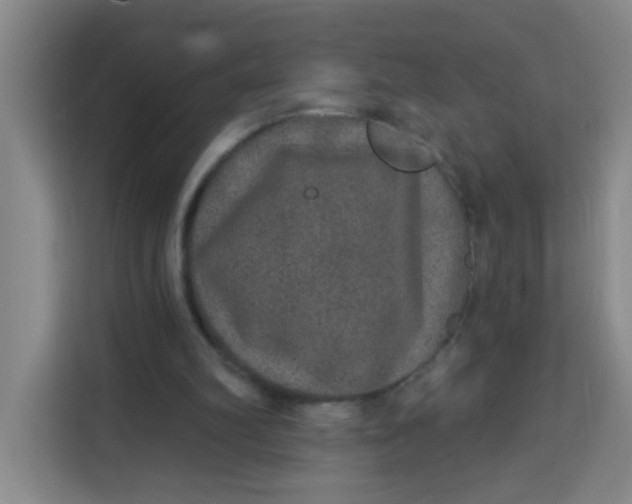 X0000113280102200910051048