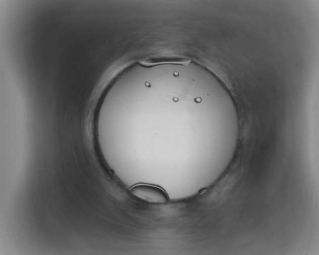 X0000113280103200910051048