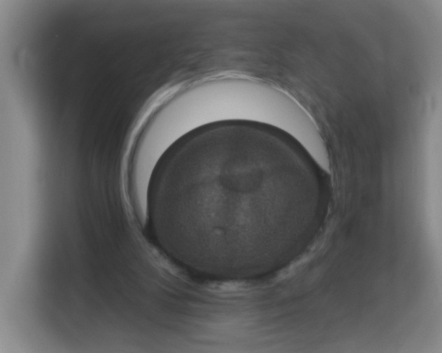 X0000113280104200910051048