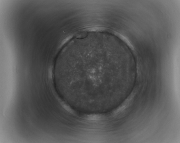 X0000113280105200910051048