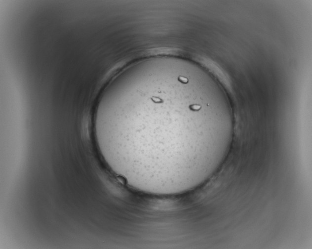 X0000113280107200910051048