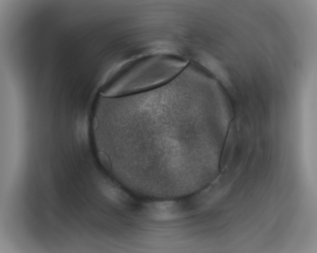 X0000113280108200910051048