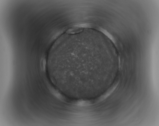 X0000113280109200910051048