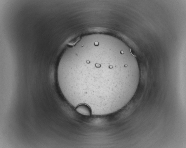 X0000113280111200910051048