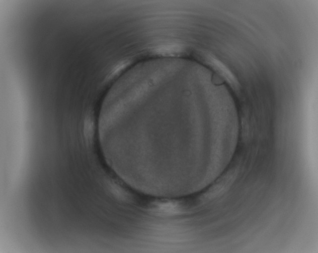 X0000113280113200910051048