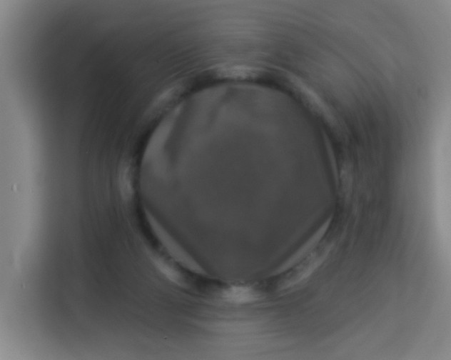 X0000113280114200910051048