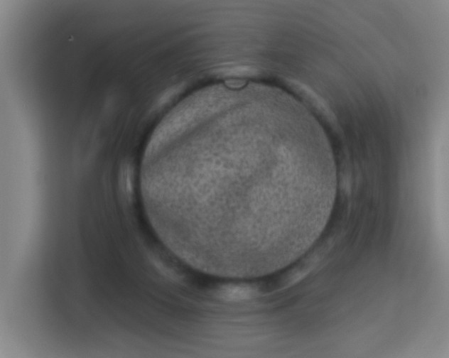 X0000113280115200910051048