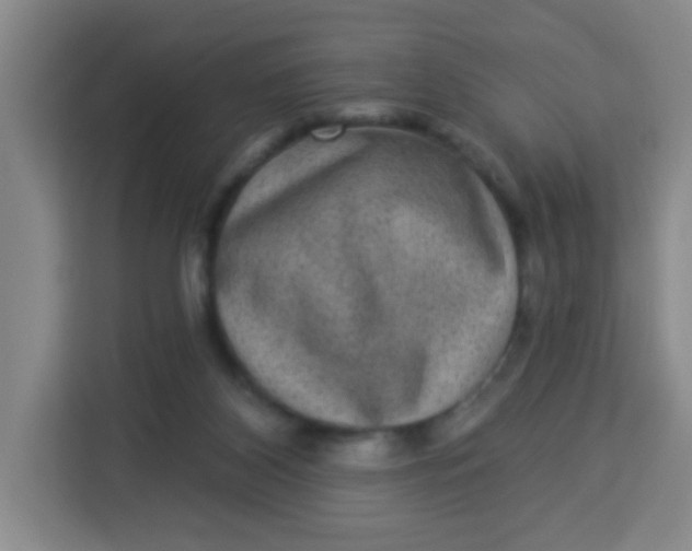 X0000113280116200910051048