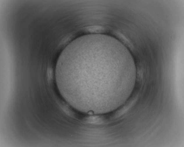 X0000113280117200910051048