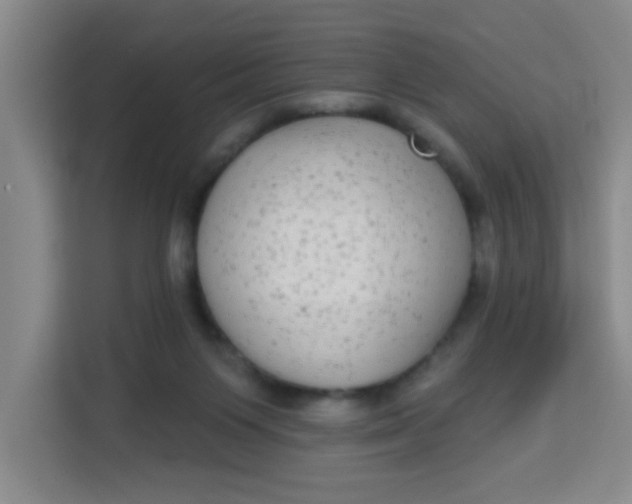 X0000113280119200910051048