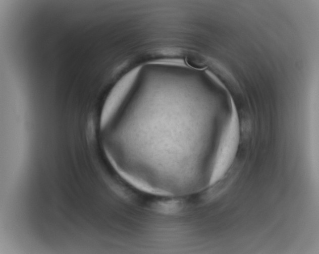 X0000113280120200910051048