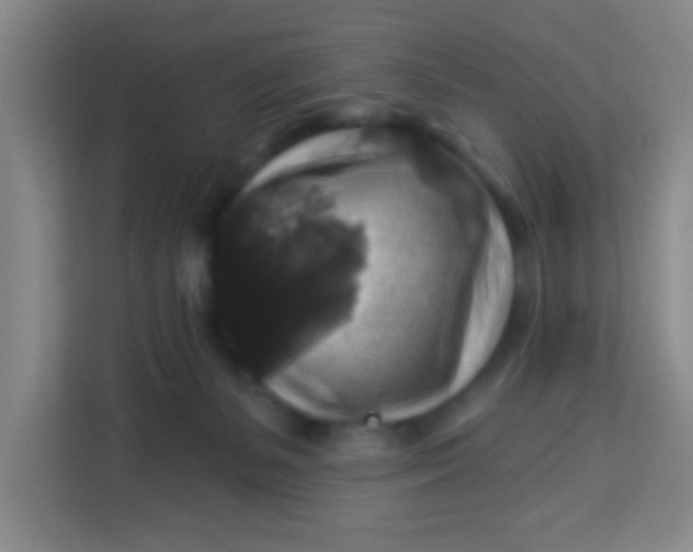 X0000113280127200910051048