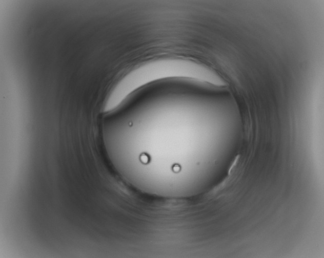 X0000113280128200910051048