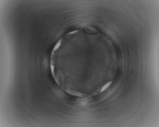 X0000113280131200910051048