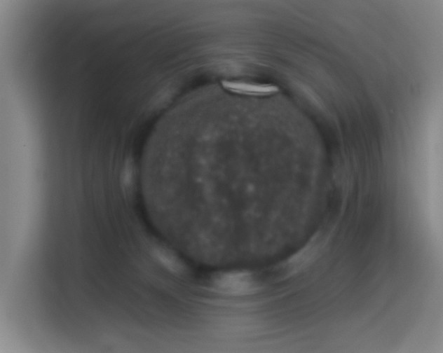 X0000113280132200910051048