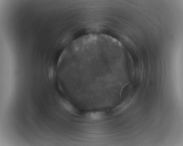 X0000113280134200910051048