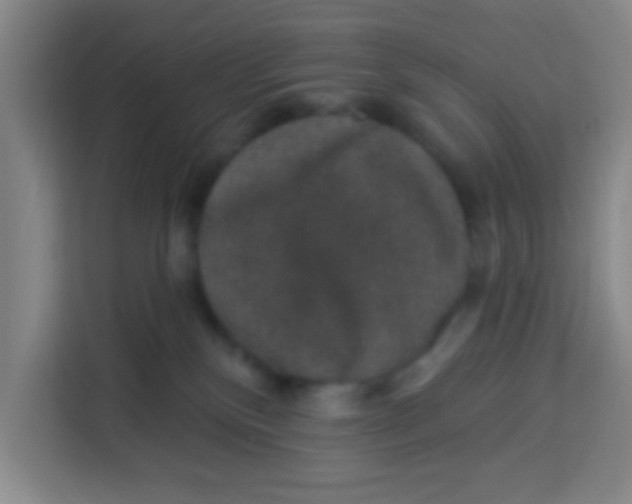 X0000113280136200910051048