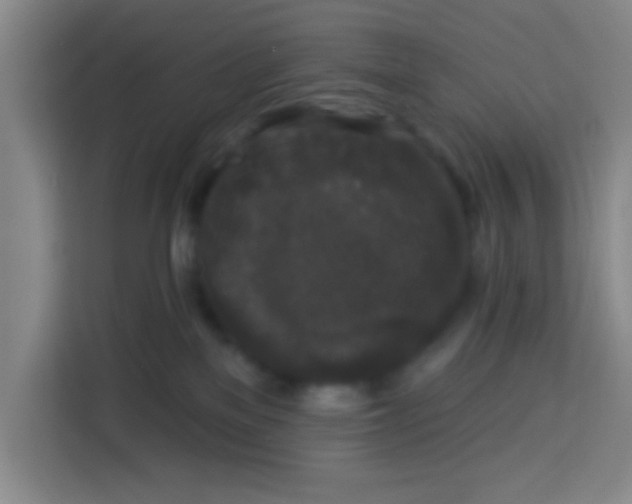 X0000113280137200910051048