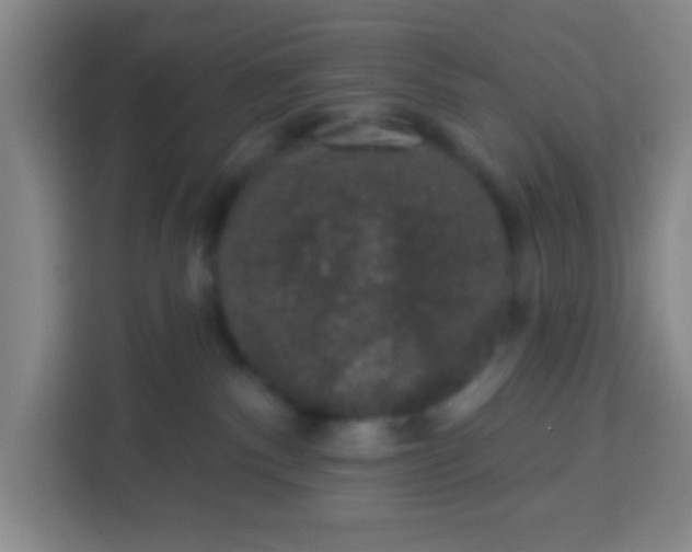 X0000113280140200910051048