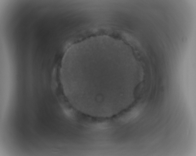 X0000113280144200910051048