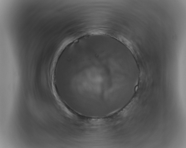 X0000113280145200910051047