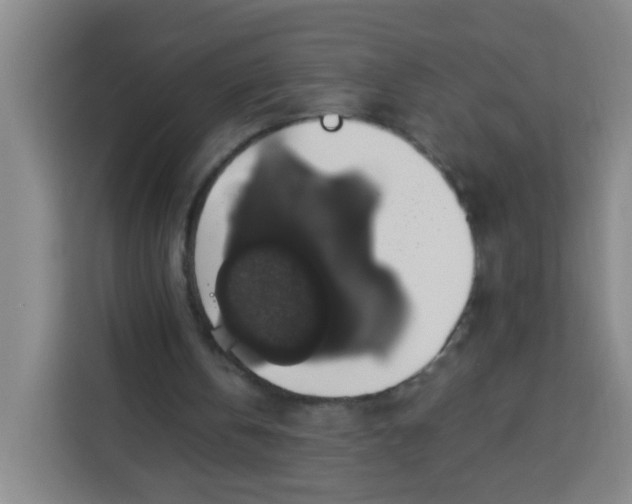 X0000113280146200910051047